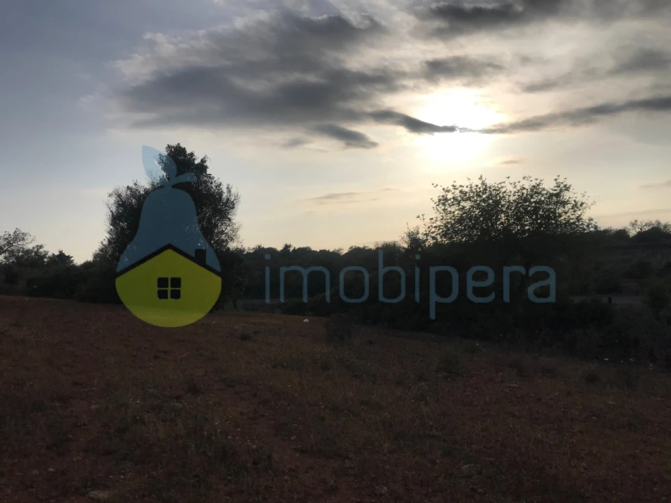 Terreno Agricola ou Rústico para Venda em Ferreiras Foto 23