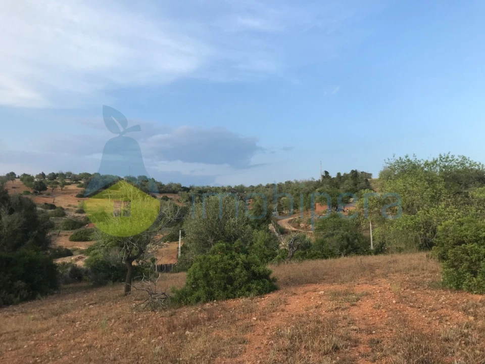 Terreno Agricola ou Rústico para Venda em Ferreiras Foto 27