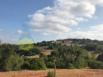 Terreno Agricola ou Rústico para Venda em Ferreiras
