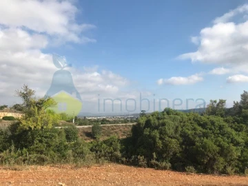 Terreno Agricola ou Rústico para Venda em Ferreiras
