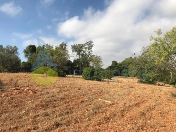 Terreno Agricola ou Rústico para Venda em Ferreiras