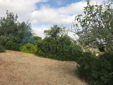 Terreno Agricola ou Rústico para Venda em Ferreiras
