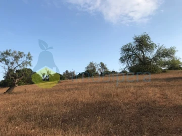 Terreno Agricola ou Rústico para Venda em Ferreiras