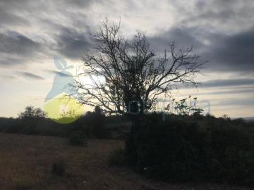 Terreno Agricola ou Rústico para Venda em Ferreiras