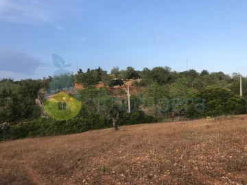Terreno Agricola ou Rústico para Venda em Ferreiras