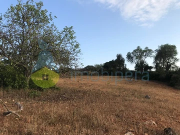 Terreno Agricola ou Rústico para Venda em Ferreiras