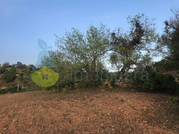 Terreno Agricola ou Rústico para Venda em Ferreiras