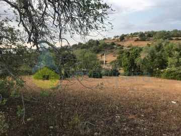 Terreno Agricola ou Rústico para Venda em Ferreiras