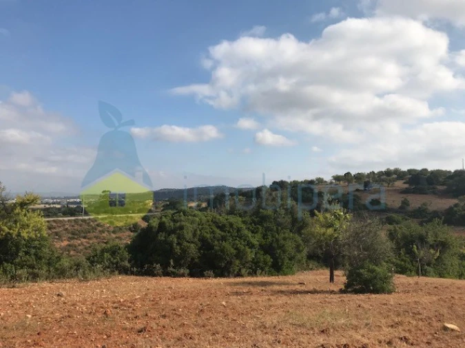 Terreno Agricola ou Rústico para Venda em Ferreiras Foto 10