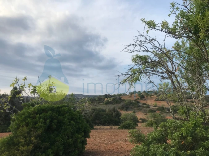 Terreno Agricola ou Rústico para Venda em Ferreiras Foto 14