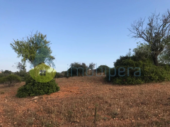 Terreno Agricola ou Rústico para Venda em Ferreiras Foto 26