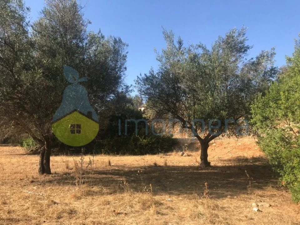 Terreno Agricola ou Rústico para Venda em Algoz e Tunes Foto 9