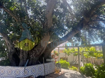 Moradia T5 para Venda em Albufeira e Olhos de Água