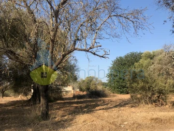 Terreno Misto para Venda em Algoz e Tunes