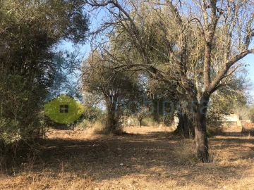 Terreno Misto para Venda em Algoz e Tunes
