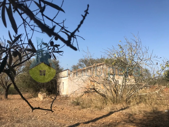 Terreno Misto para Venda em Algoz e Tunes Foto 2