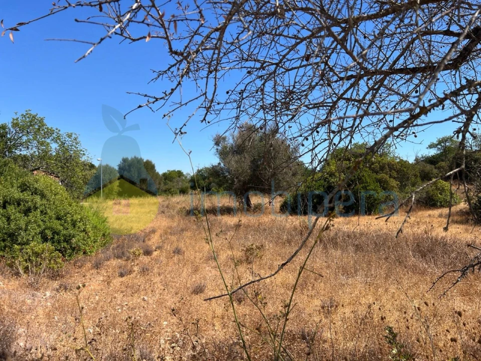 Terreno Agricola ou Rústico para Venda em Ferreiras Foto 1
