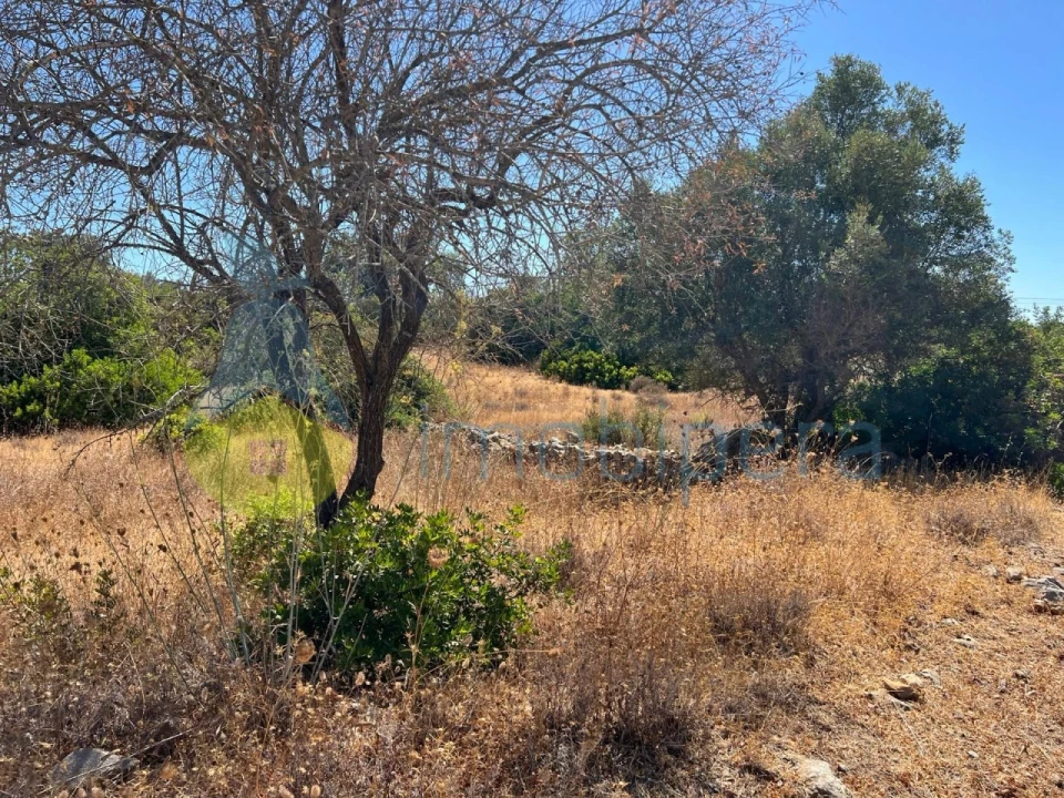 Terreno Agricola ou Rústico para Venda em Ferreiras Foto 14