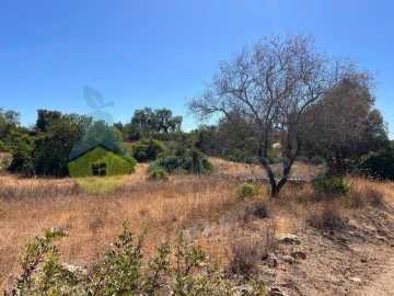 Terreno Agricola ou Rústico para Venda em Ferreiras