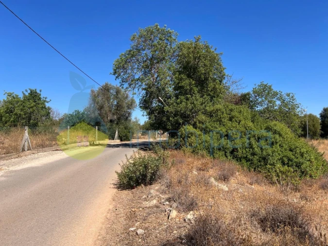 Terreno Agricola ou Rústico para Venda em Ferreiras Foto 4