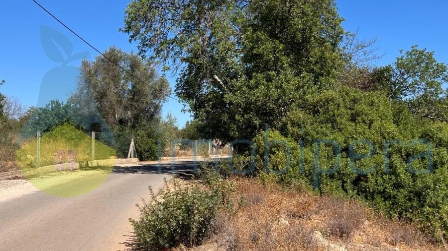 Terreno Agricola ou Rústico para Venda em Ferreiras