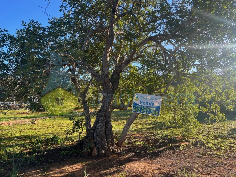 Terreno Agricola ou Rústico para Venda em Boliqueime Foto 4