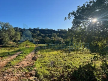 Terreno Agricola ou Rústico para Venda em Boliqueime
