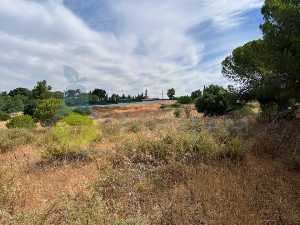 Terreno Agricola ou Rústico para Venda em Ferreiras Foto 1