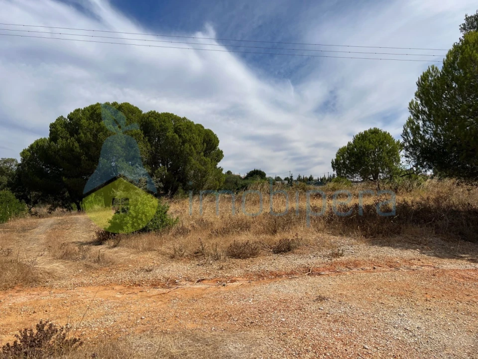 Terreno Agricola ou Rústico para Venda em Ferreiras Foto 3