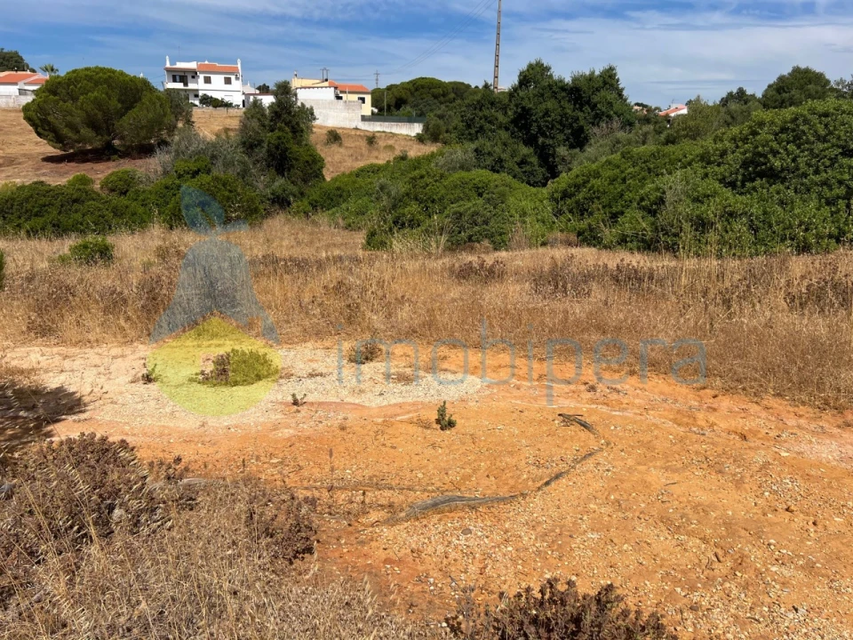 Terreno Agricola ou Rústico para Venda em Ferreiras Foto 31
