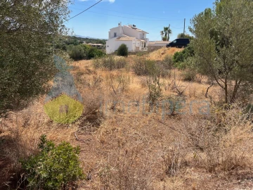 Terreno Agricola ou Rústico para Venda em Ferreiras