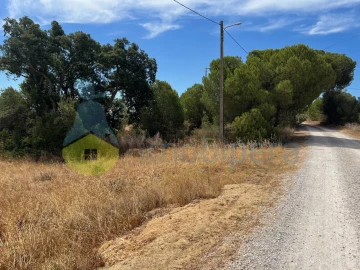 Terreno Agricola ou Rústico para Venda em Ferreiras