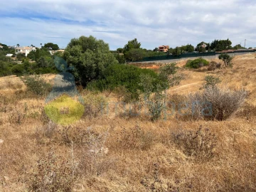 Terreno Agricola ou Rústico para Venda em Ferreiras