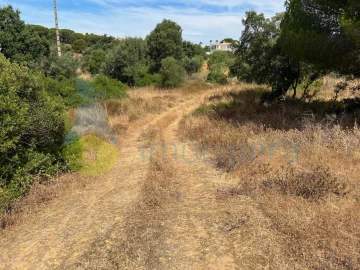 Terreno Agricola ou Rústico para Venda em Ferreiras