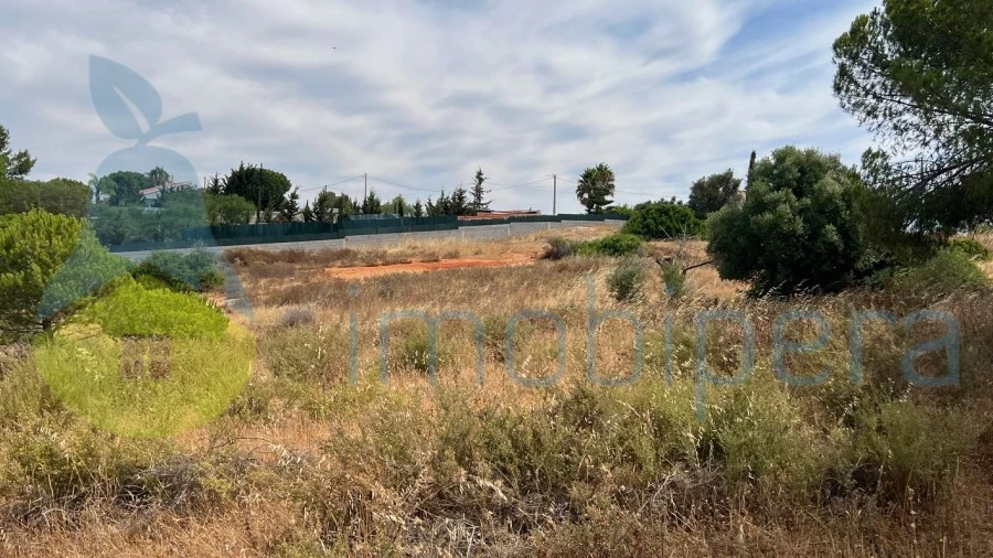 Terreno Agricola ou Rústico para Venda em Ferreiras
