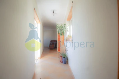 Apartamento T1 para Venda em Algoz e Tunes