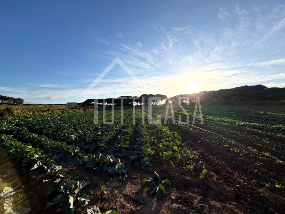 Terreno Agricola ou Rústico para Venda em São João das Lampas e Terrugem Foto 1