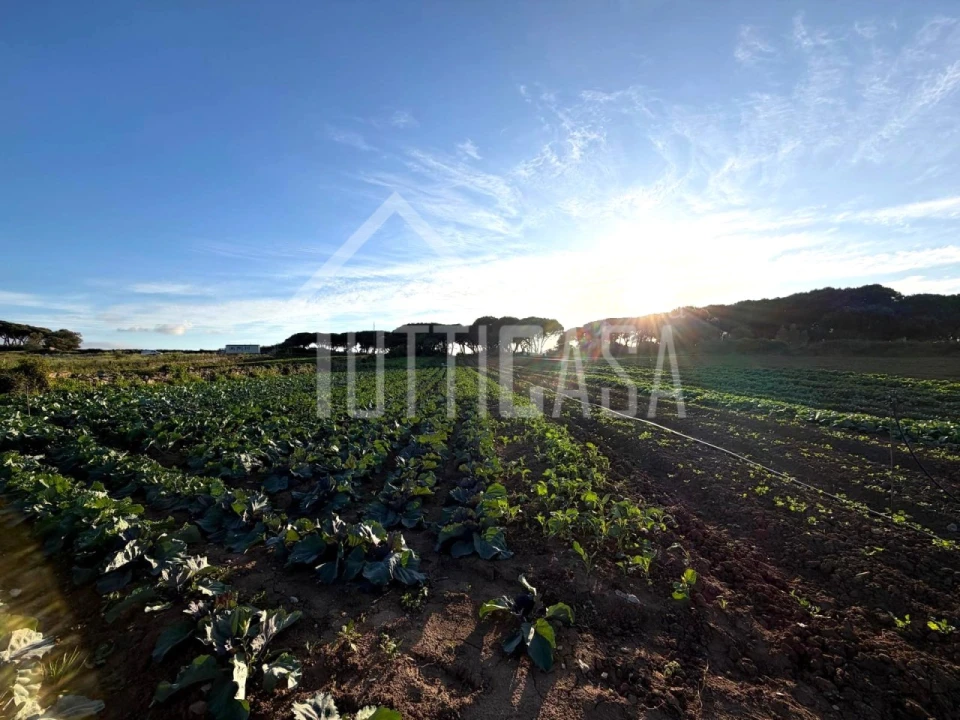 Terreno Agricola ou Rústico para Venda em São João das Lampas e Terrugem Foto 5