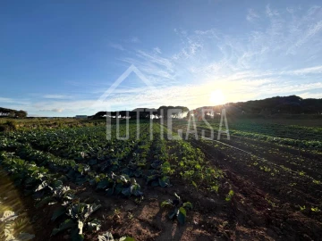 Terreno Agricola ou Rústico para Venda em São João das Lampas e Terrugem