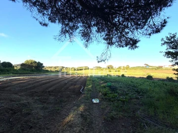 Terreno Agricola ou Rústico para Venda em São João das Lampas e Terrugem
