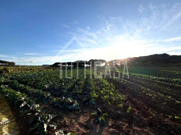 Terreno Agricola ou Rústico para Venda em São João das Lampas e Terrugem