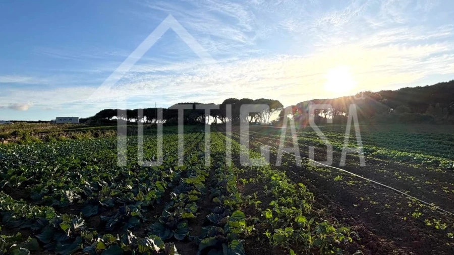 Terreno Agricola ou Rústico para Venda em São João das Lampas e Terrugem