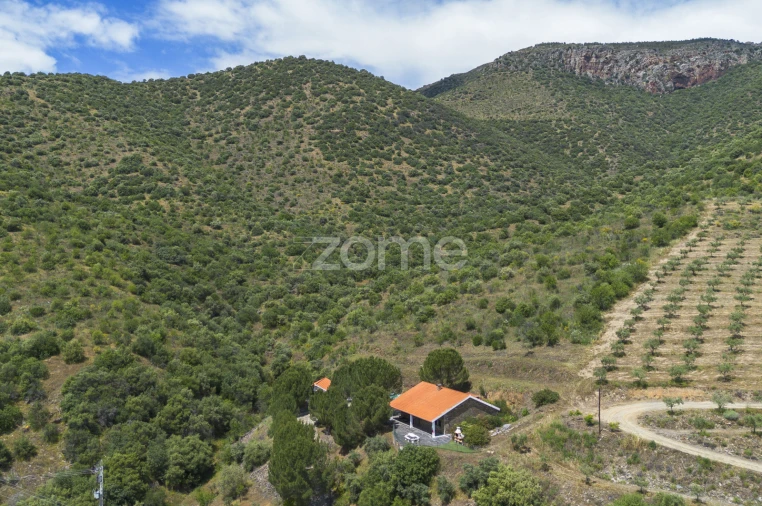 Quinta T3 para Venda em Freixo de Espada a Cinta e Mazouco Foto 48