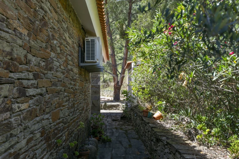 Quinta T3 para Venda em Freixo de Espada a Cinta e Mazouco Foto 10