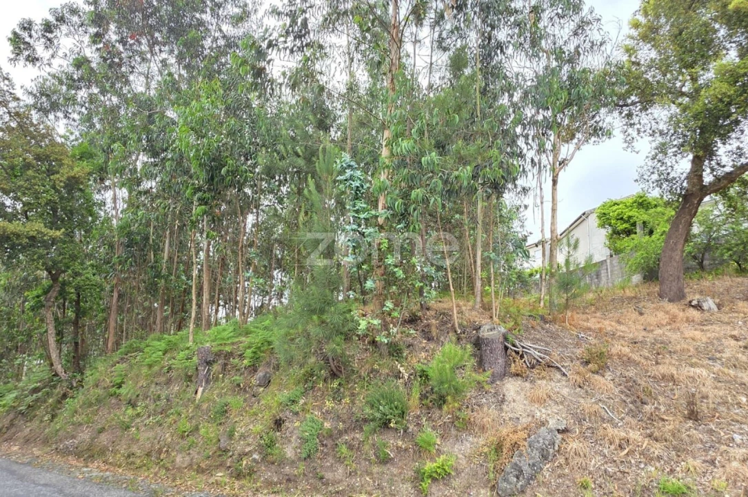 Terreno para Venda em Braga (Maximinos, Sé e Cividade) Foto 9