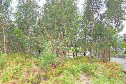 Terreno para Venda em Braga (Maximinos, Sé e Cividade)