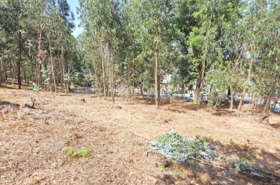 Terreno para Venda em Braga (Maximinos, Sé e Cividade)