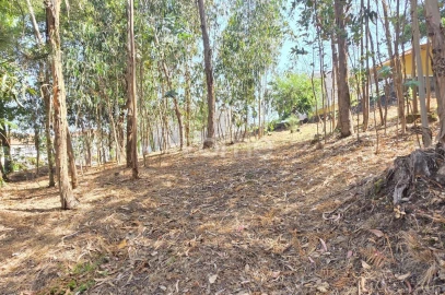 Terreno para Venda em Braga (Maximinos, Sé e Cividade)