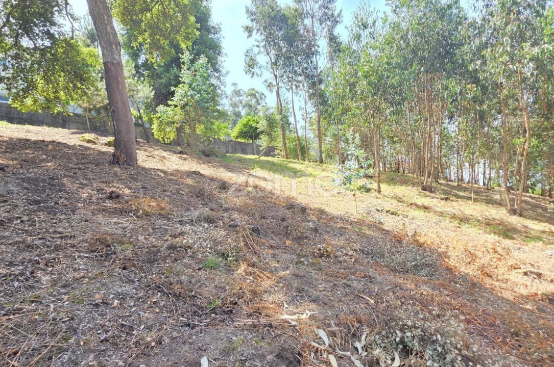 Terreno para Venda em Braga (Maximinos, Sé e Cividade) Foto 6