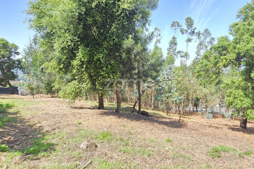 Terreno para Venda em Braga (Maximinos, Sé e Cividade) Foto 11